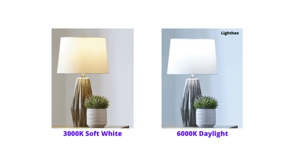Soft white vs daylight
