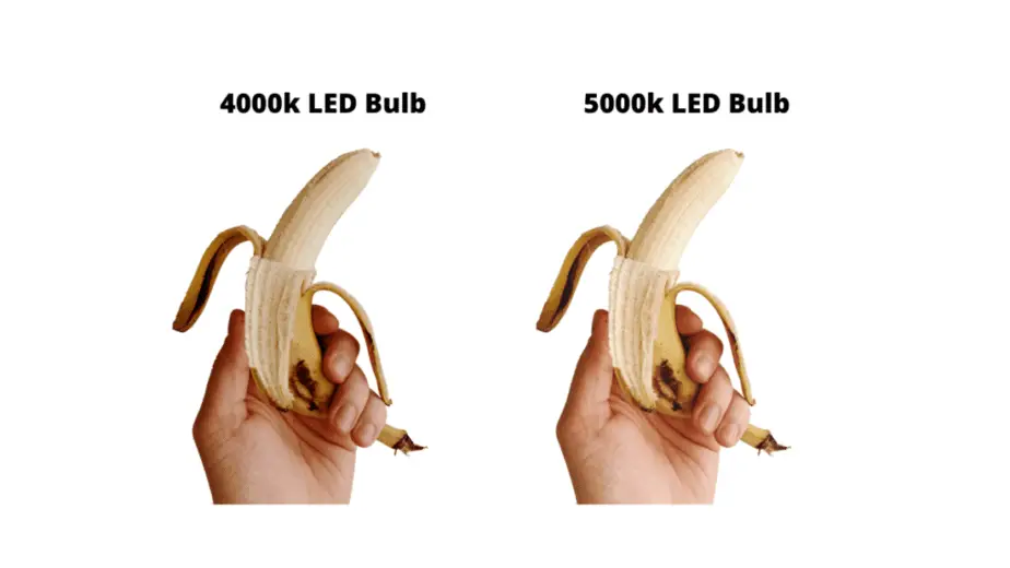 4000K and 5000K LED Bulbs Color Temperature