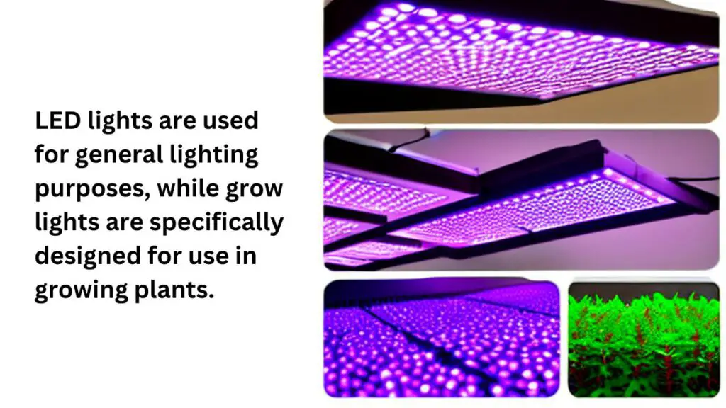 Difference Between A Grow Light And A LED Light
