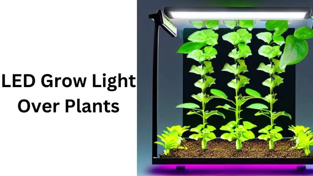 led_grow_light_over_plants